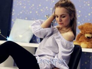 Linnetspace
