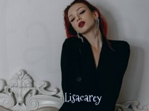 lisacarey Faceporno
