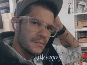 Litlebigguy