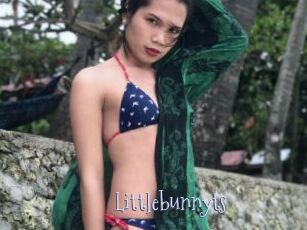 littlebunnyts Faceporno