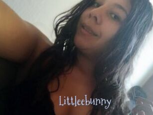 Littleebunny