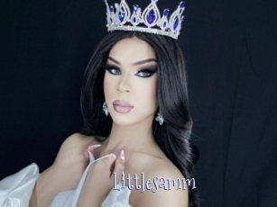 Littlesamm