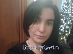 Littlesurpriseestra