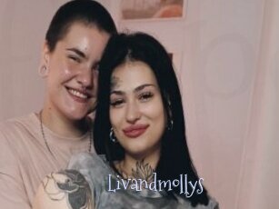 Livandmollys