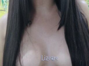 Lizcam