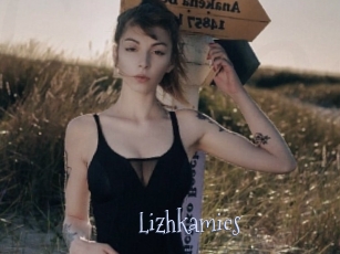 Lizhkamics