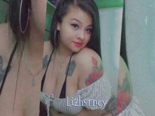 Lizhorney