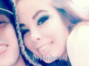 Lovebirds02477