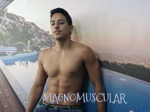 MAGNOMUSCULAR