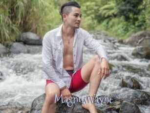 MagnusWayne
