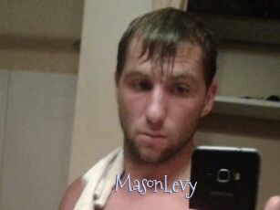 Mason_Levy
