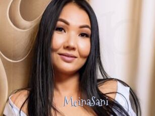 MeinaSani