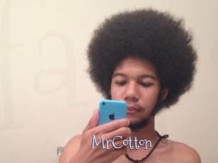 MrCotton