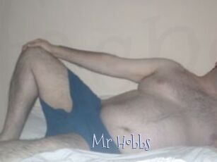 Mr_Hobbs