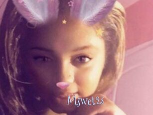 Mswet23