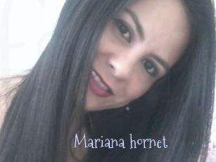 Mariana_hornet