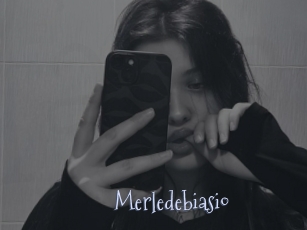 Merledebiasio