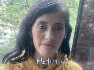 Merlinaliizz
