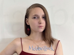 Metawillock