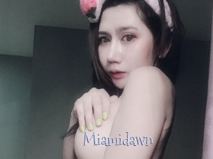 Miamidawn