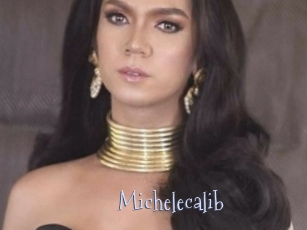 Michelecalib