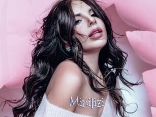 Minilizi