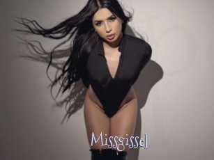 Missgissel