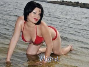 Missnet