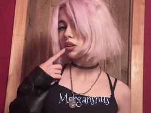 Morgansnus