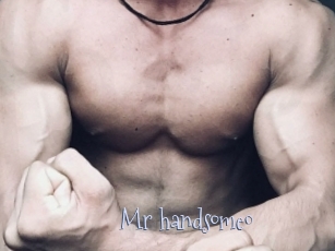 Mr_handsome0