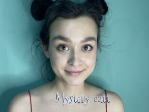 Mystery_catt