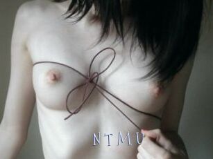 N_T_M_U