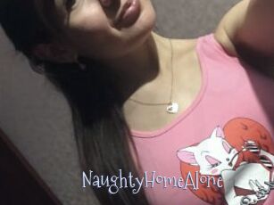 NaughtyHomeAlone