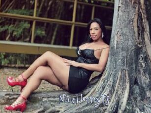 NiceHornyTs