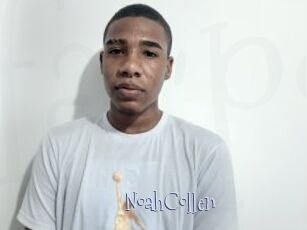NoahCollen