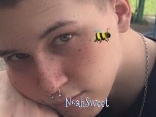 NoahSweet