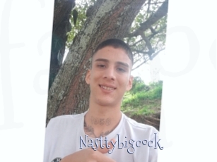 Nasttybigcock