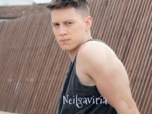 Neilgaviria