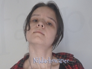 Nildachowanec