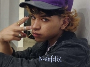 noahfelix Faceporno