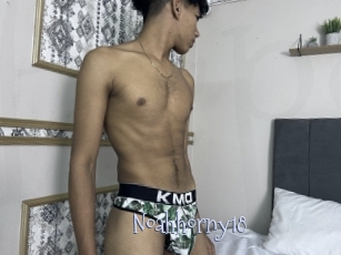 Noahhorny18