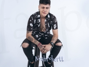 Noahrobertt
