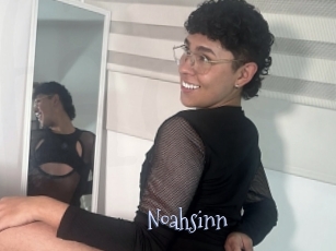 Noahsinn