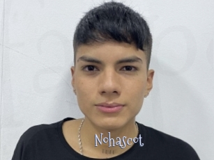 nohascot Faceporno