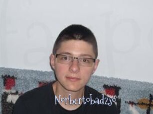 Norbertobadzso