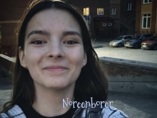 Noreenborer