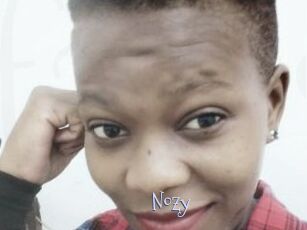 Nozy