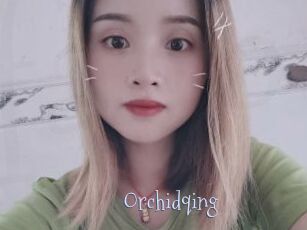 Orchidqing
