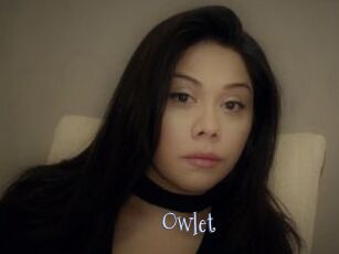 _Owlet_