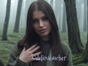 Odelinabucher